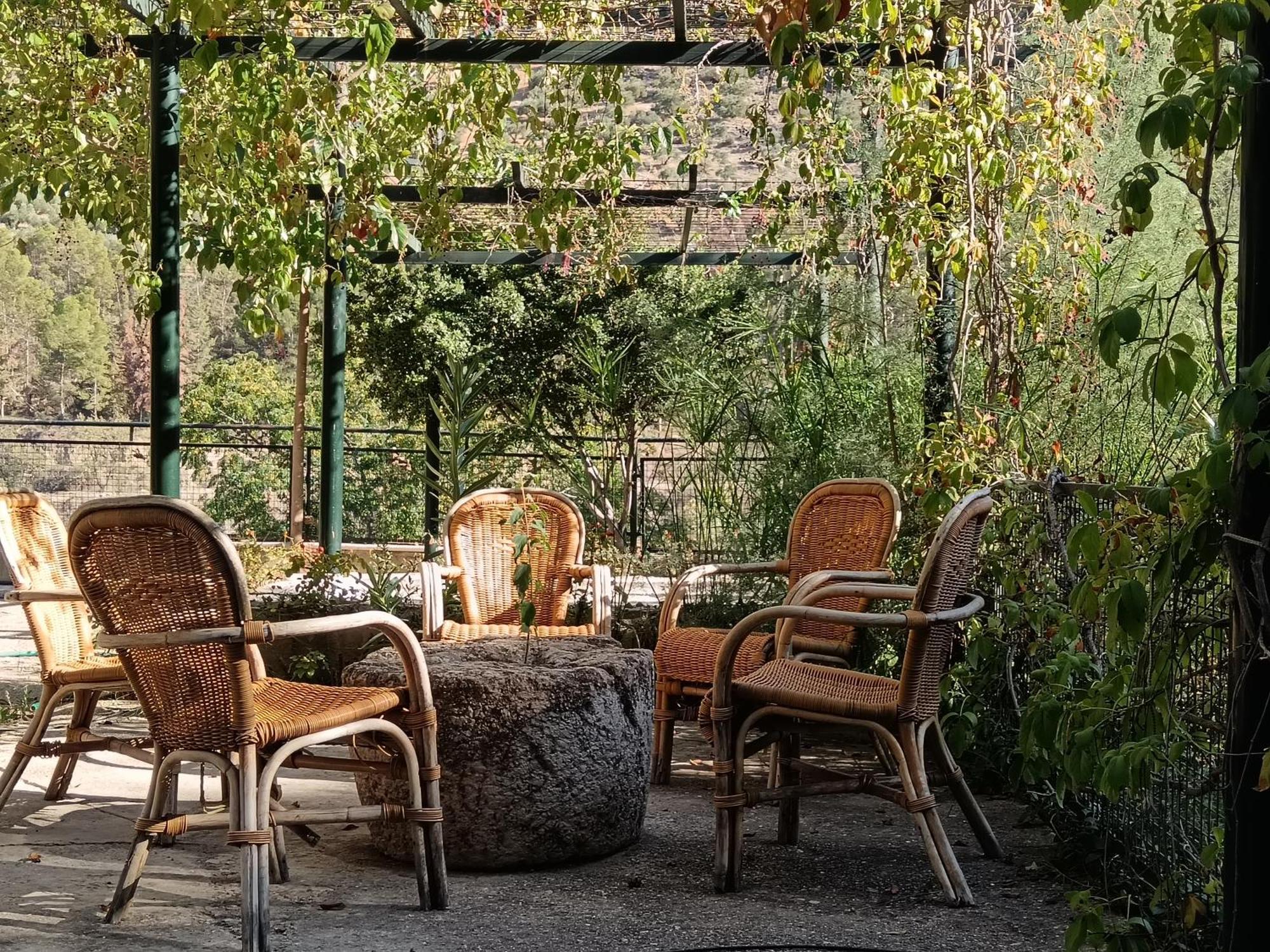 Maison d'hôtes Cortijo El Cercadillo à Bedmar y Garciez Extérieur photo